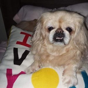 Meet your Posher, Kathrine